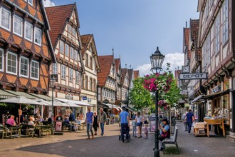 Zöllnerstrasse in the old town centre with typical half-timbered houses, Celle, Lüneburg Heath,