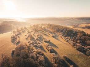 Wide view of a wooded hilly landscape in the gentle morning light, Gechingen district of Calw,