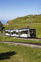 Rigi railway on Mount Rigi in the Alps in Rigi, Switzerland, Europe