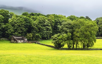 Farms in Yorkshire Dales National Park, North Yorkshire, England, United Kingdom, Europe