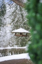 Bird feeder hanging from a tree, surrounded by snow-covered trees and winter atmosphere, spa