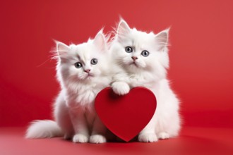 Pair of white Persian cats with red heart. KI generiert, generiert AI generated