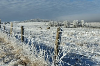 Aubrac plateau in winter. Lozere departement. Occitanie. France