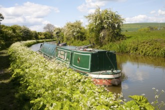 Kennet and Avon canal stretch between All Cannings and Alton Barnes, Vale of Pewsey, Wiltshire,