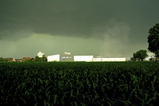 Europe, Germany, Lower Saxony, Stade district, Thunderstorm over corn field with production halls