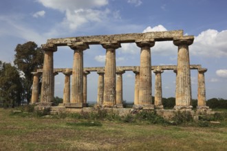 Metaponto, Metaponte, Doric hera temple, Tavole Palatine, Basilicata, Italy, Europe