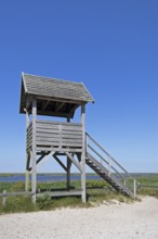 Viewing platform, duck platform, Libbertsee, circular hiking trail, nature reserve, Darßer Ort,