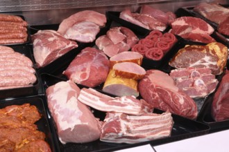 Variation of fine meat products in the butcher's shop