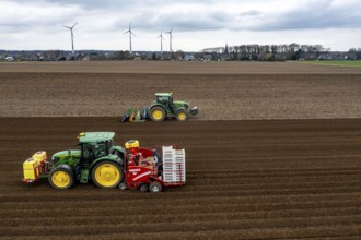 Early potatoes are laid in the soil of the field with a planting machine, tractor with roundabout