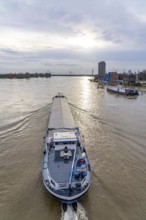 Flood on the Rhine near Duisburg, freighter on the river near Duisburg-Homberg, downstream, heading