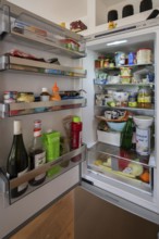 Filled fridge of a family of 4, North Rhine-Westphalia, Germany, Europe