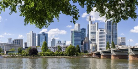 Skyline with skyscrapers in the city centre, river Main and Untermainbrücke panorama in Frankfurt,