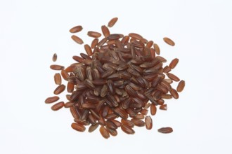 Red rice, Camargue rice from France, rice variety with a red bran layer, usually offered as brown