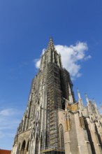 Ulm Cathedral, west tower, Cathedral of Our Lady in Ulm, Gothic architectural style, sacred