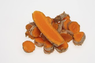 Turmeric (Curcuma longa) or curcume, yellow ginger, saffron root, turmeric, plant species of the