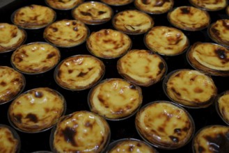 The famous pastéis cream tarts of the Confeitaria dos Pastéis de Belém pastry shop, Belém, Lisbon,