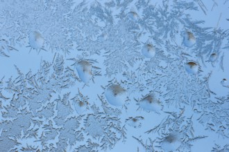 Ice on window pane, Switzerland, Europe