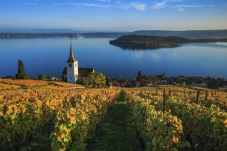 Ligerz on Lake Biel, Bern, Switzerland, Europe