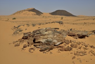 Landscape, Bayuda Desert, asch-Schamaliyya, Nubia, Sudan, Africa