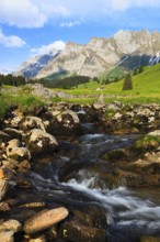 Mountain stream, Alpstein massif with Säntis, Appenzell, Switzerland, Europe