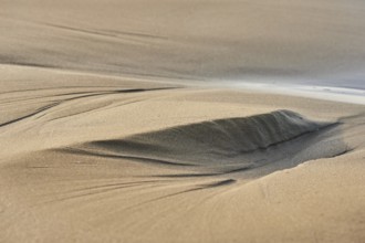 Mold sand on the beach "Platja del Fangar", coast, nature reserve, ebro delta, Catalonia, Spain,