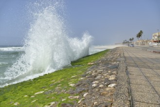 Surf at the corniche of Salalah during the monsoon season, or Khareef season, Salalah, Dhofar