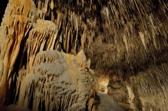 Coves del Drach, Cuevas del Drach, Dragon's Cave, Porto Cristo, Majorca, Balearic Islands, Spain,