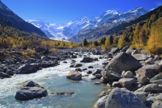 Mountain stream, larch forest, Piz Palü, 3905 m, Piz Bernina, 4049 m, Biancograt, Morteratsch