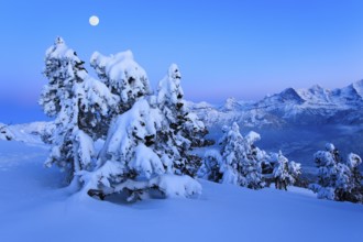 Bernese Alps, View from the Niederhorn, Bernese Oberland, Switzerland, Europe