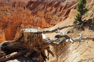 Bryce canyon in Utah, Scenic views