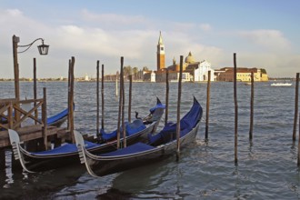 Venice, Grand Canal, Venice, Italy, Europe