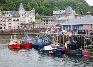 Trawlers fishing boats at quayside at Oban, Argyll and Bute, Scotland, UK