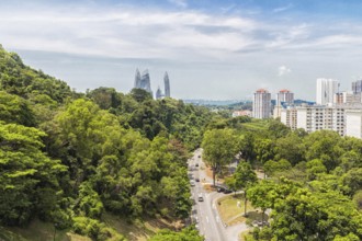 The connection of the city and the jungle. Singapore