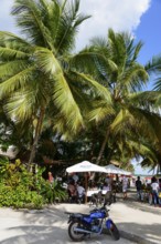 A group of people relaxing in a restaurant under palm trees, beach, Boca Chica, Santo Domingo