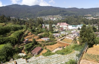 View over the town of Nuwara Eliya, Central Province, Sri Lanka, Asia