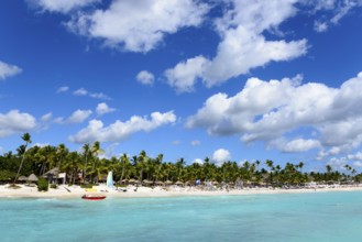 An idyllic beach with clear water under a blue sky, surrounded by palm trees, Palm Beach Dominicus,