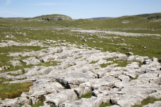 Limestone pavements at Malham, Yorkshire Dales national park, England, UK