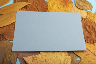 Composition with yellow and brown autumn leaves and blue paper mockup on blue pastel background.