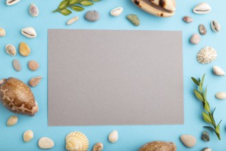 Composition with gray paper sheet, seashells, green boxwood. mockup on blue pastel background.