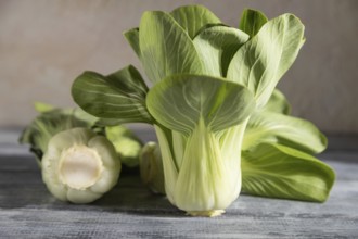 Fresh green bok choy or pac choi chinese cabbage on a gray wooden background. Hard light, contrast.