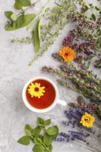 Cup of herbal tea with calendula, lavender, oregano, hyssop, mint and lemon balm on a gray concrete