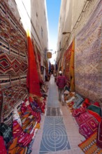 Alley with carpet dealers, carpet, trade, market, dealer, bazaar, offer, colourful, colourful,