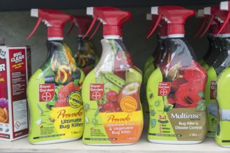 A range of insect bug killer products on sale, The Walled garden plant nursery, Benhall, Suffolk,