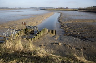 Drainage sluice at low tide Kirton Creek, River Deben, Hemley, Suffolk, England, UK