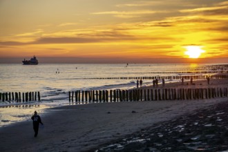 Sunset on the beach of Zoutelande, beach with wooden pile breakwaters, cargo ship sailing towards