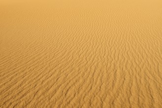 View of a vast desert landscape with undulating sand patterns, sand dunes in a desert under a clear