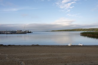 Two swans sleeping on the shore of Lake Plau, Ganzlin, Mecklenburg-Vorpommern, Germany, Europe