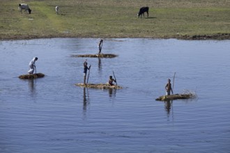 Egyptian children on simple papyrus rafts on the river Nile near Luxor, Egypt, Africa