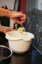 Swabian cuisine, preparation of elderberry cakes, Hollerkiacherl, dipping elderflowers in dough,