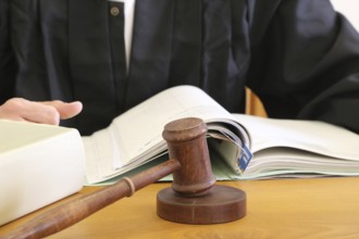 Close-up of a judge's gavel as a symbolic image for a court judgement